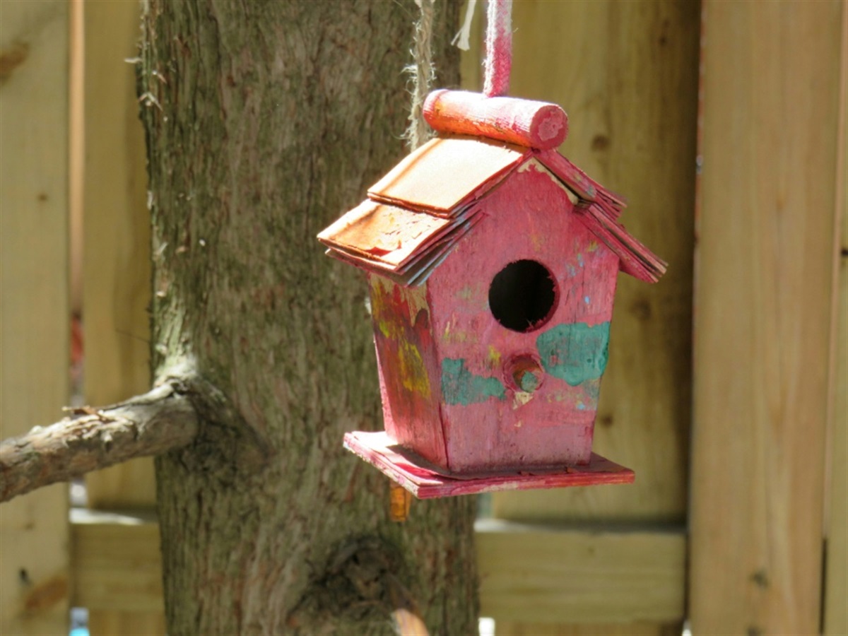 Tweet Retreat: Paint Your Own Birdhouse