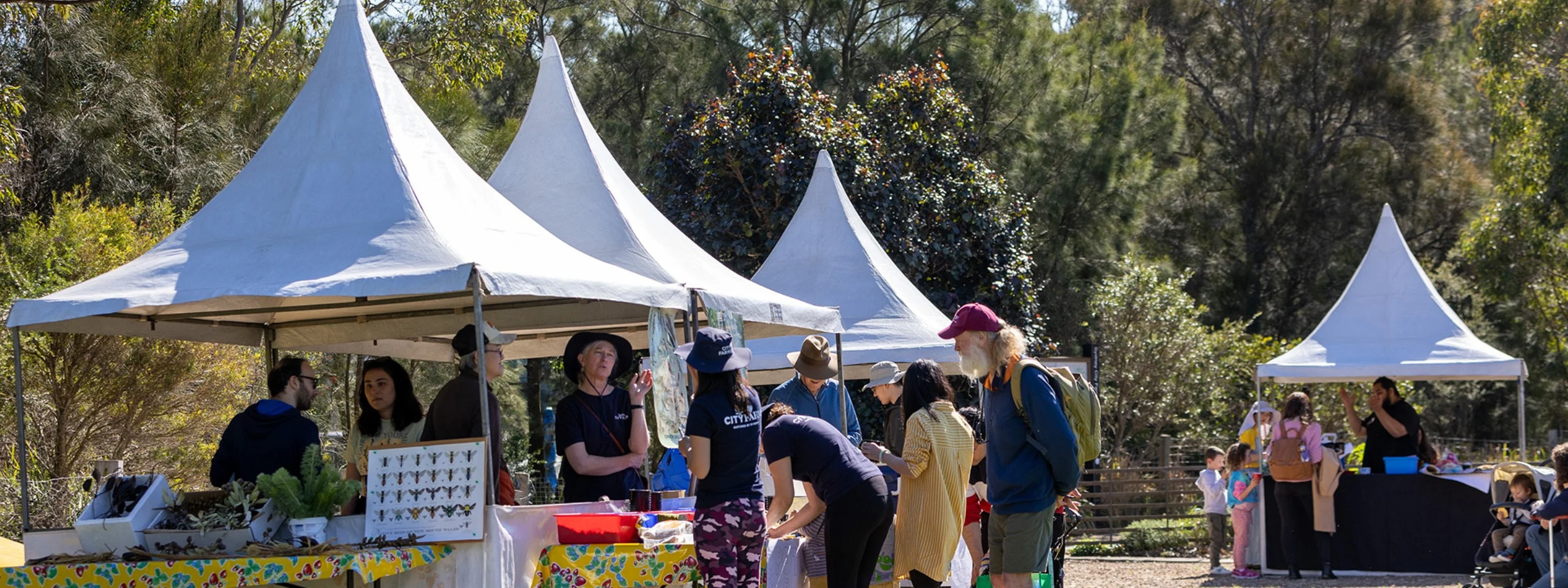 Sydney City Farm open day: seeds of science