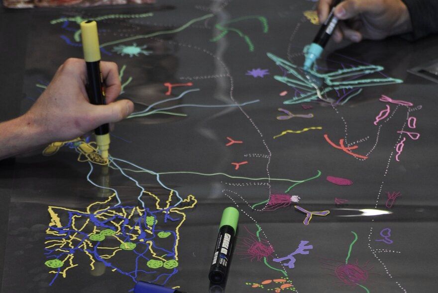 Grow a Drawing with Briony Barr