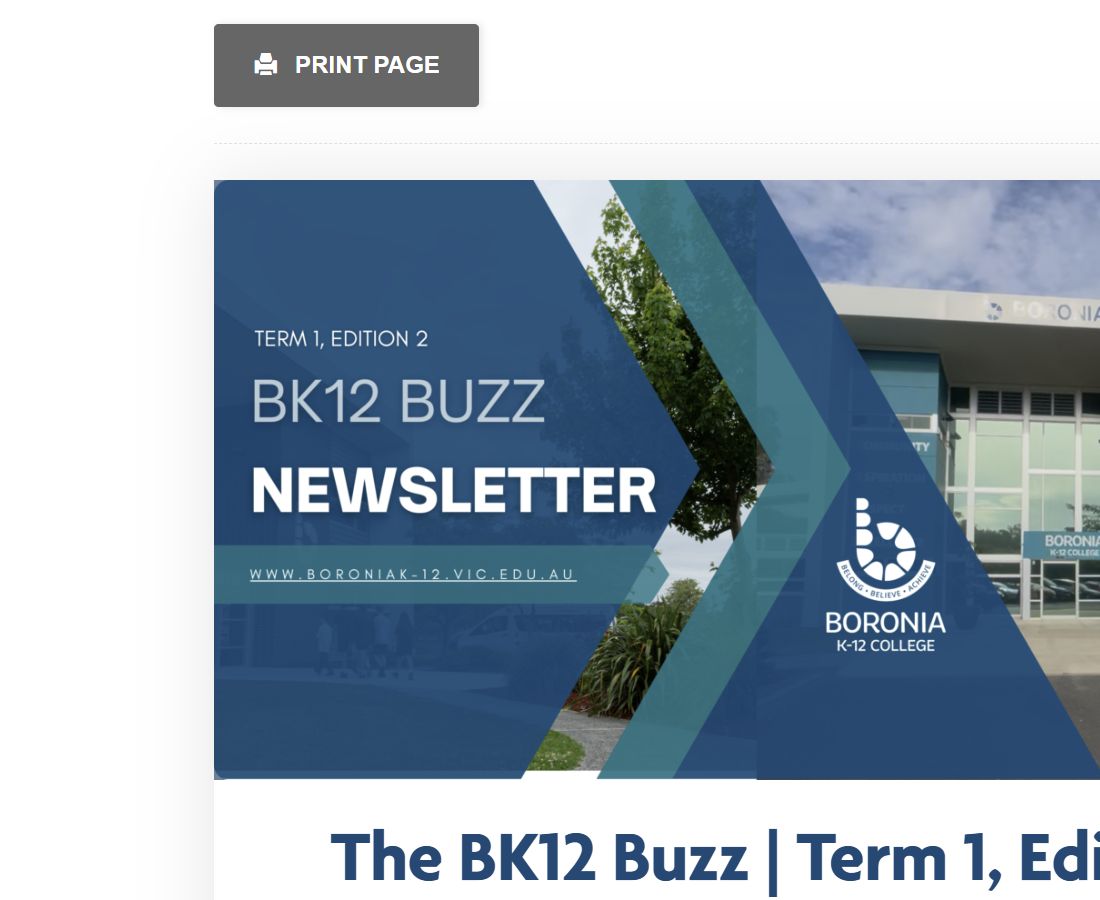 Boronia K-12 College Christmas Fete 2026