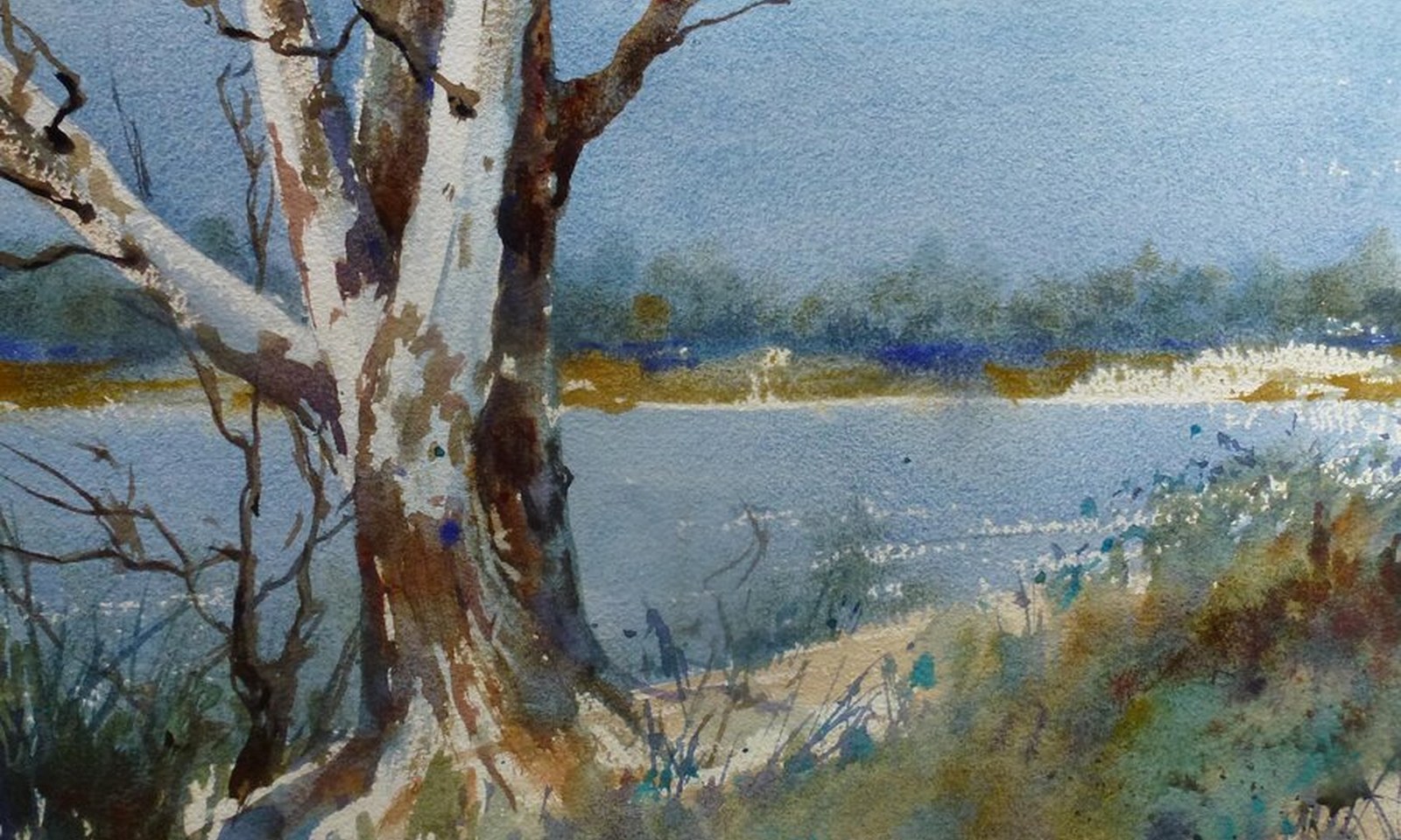 Maxine Wade: Land For Sale