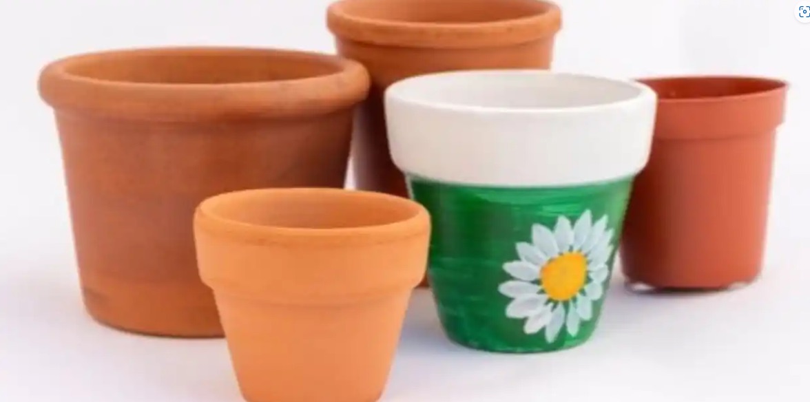 Paint and Plant