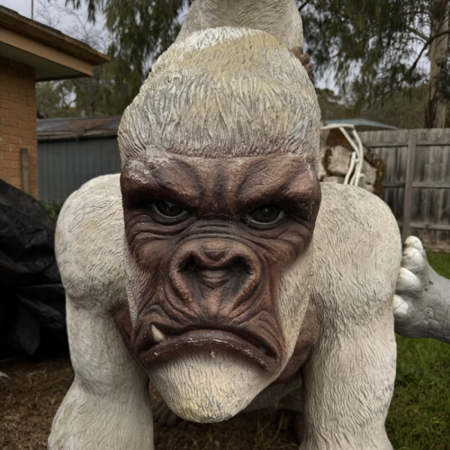 Life-Size Gorilla Display Prop – Ex-Hire