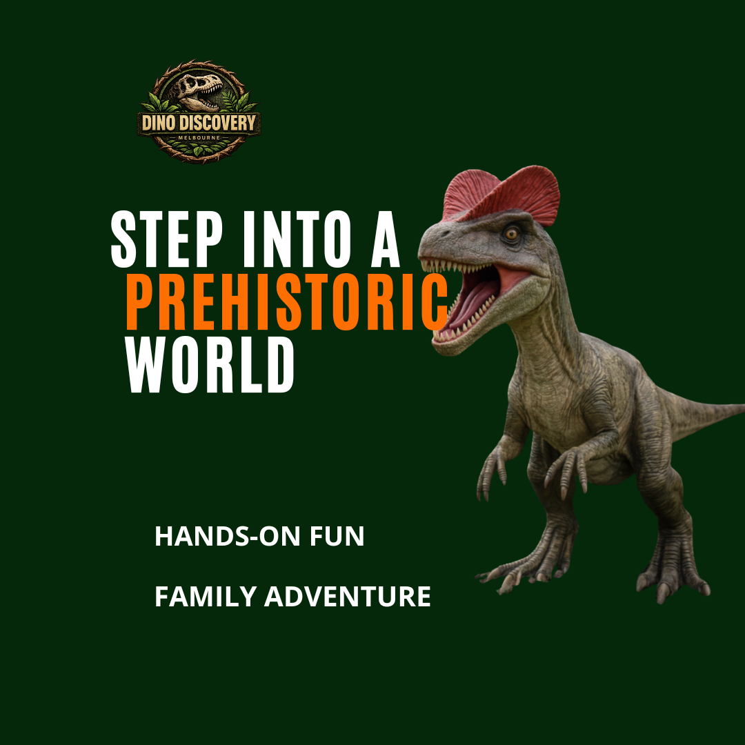 DinoDiscovery